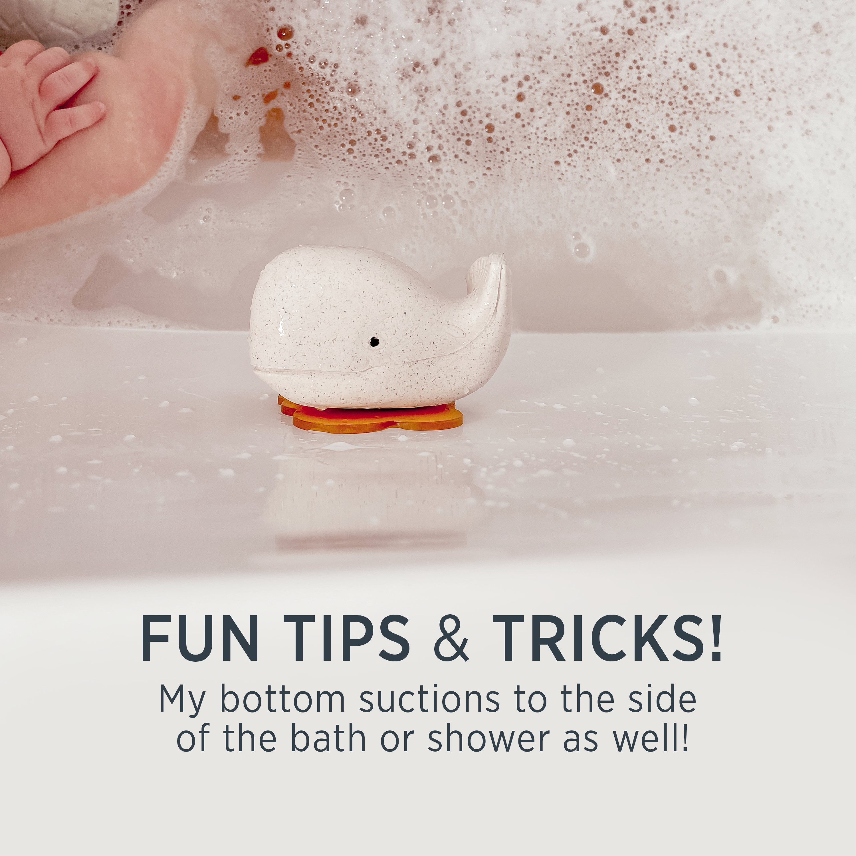 hevea-squeeze-n-splash-wal-schildkr-te-badespielzeug-geschenkset image 5