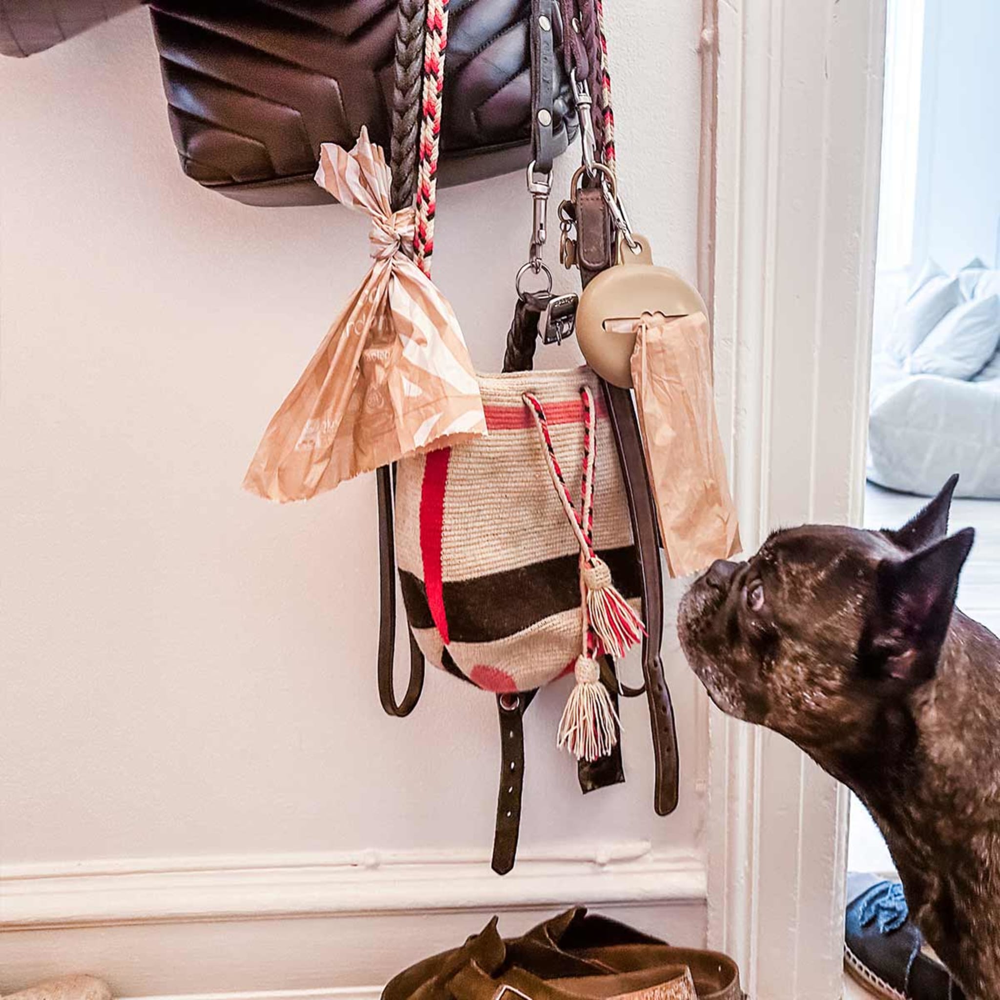 hevea-dog-poop-bags-biologisch-abbaubar-hundekotbeutel image 8