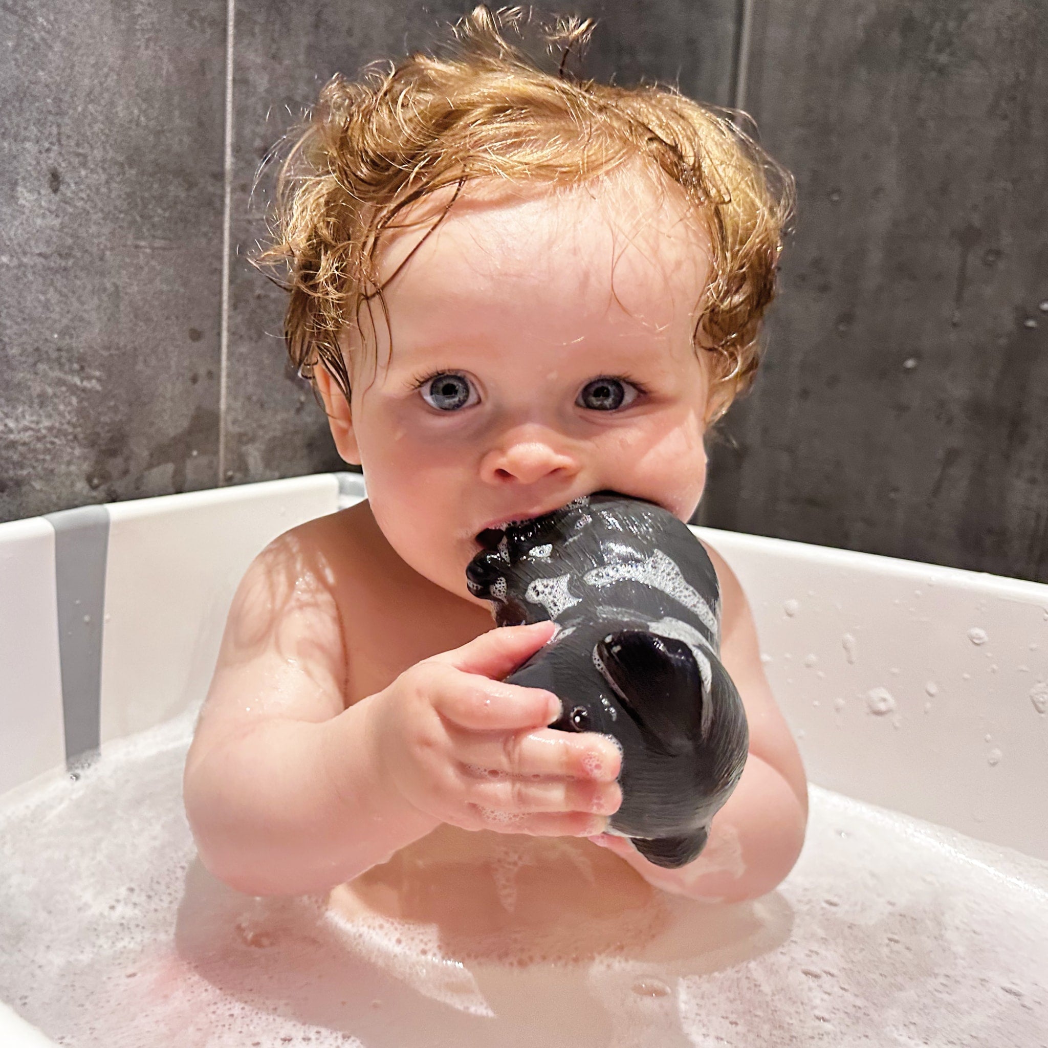 hevea-bath-buddy-badespielzeug-aus-naturkautschuk-mit-schwimmring image 6