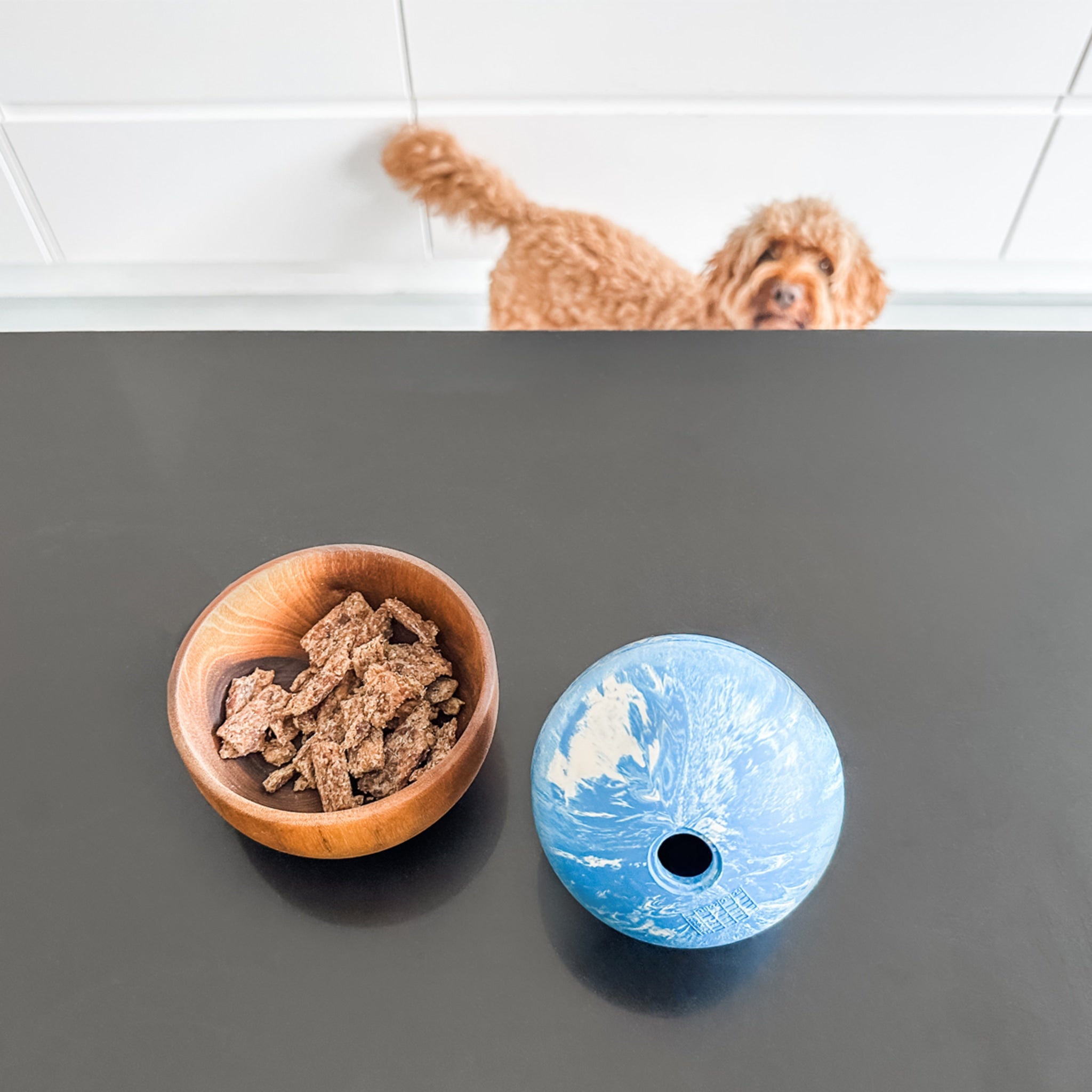 hevea-planet-ball-aktivierungs-apportierspielzeug-f-r-hunde-naturkautschuk image 3